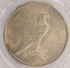 1923 $1 Peace Dollar Rim Clip PCGS MS61