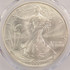 2000 $1 Silver Eagle Struck Through Reverse PCGS MS65