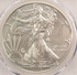 2020 $1 Silver Eagle Rim Clip at K-2 PCGS MS69