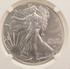 2023 $1 Silver Eagle Rim Clip at K-4 NGC MS69