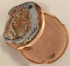 1991 1c Lincoln Cent Struck 55% Off-Center & Uniface Reverse CACG MS61 Red