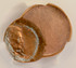 1992 1c Lincoln Cent Struck 55% Off-Center CACG MS63 Red