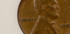 1955 1c Wheat Cent Doubled Die Obverse NGC AU55 BN