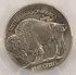 1936 5c Buffalo Nickel Broadstruck PCGS MS62