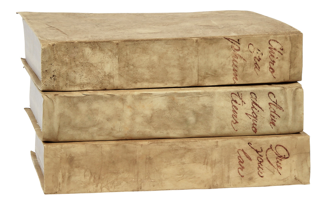 12 inch Full Antique Vellum Bound with Blank Pages (Sold by the book) - E  Lawrence, LTD.