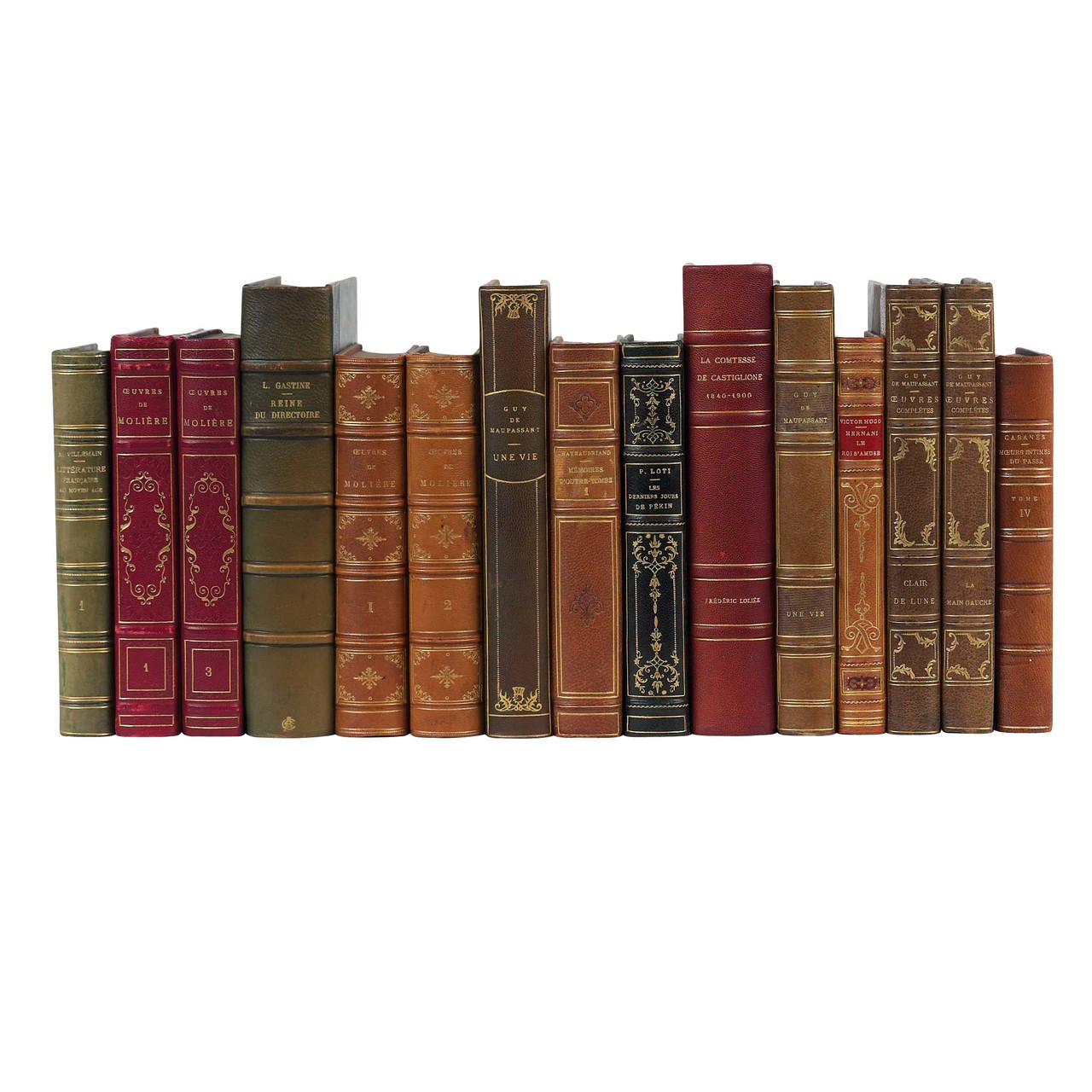 Collectible Leather Bound Luxury Brands Books