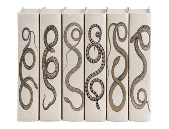 Snake Series / Off-White Cover / 9.5"
By the Book