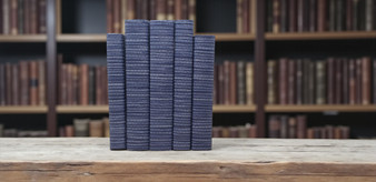 Grasscloth Stripe - Navy / Off-White Cover / 8.5-9.5" (By the Book)
