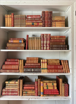 100 Vol. European leather-bound books / 8.5 - 11" inches - ONLY ONE AVAILABLE