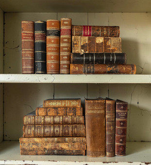18 Vol. 1800's European leather-bound books / 7-10" inches - ONLY ONE AVAILABLE
