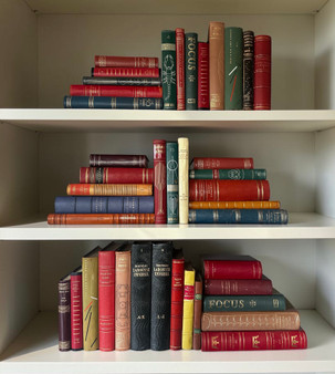 42 Vol. Scandinavian Modernist leather-bound books / 7.5-12" inches - ONLY ONE AVAILABLE