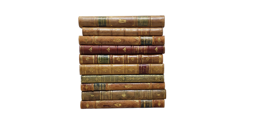 10 Vol. Decorative Mix of Leatherbound Books - ONLY ONE AVAILABLE