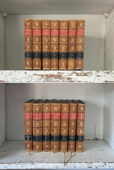 14 Vol. Vintage European leather bindings / 8.5" inches - ONLY ONE AVAILABLE