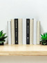 White and natural parchment bound spines with a touch of modern hardbound books in black - (By the Foot)