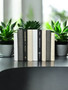 Natural, white, and gray parchment bound spines with a touch of modern hardbound books in black - (By the Foot)