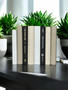 Natural, white, and taupe parchment bound spines with a touch of modern hardbound books in black - (By the Foot)