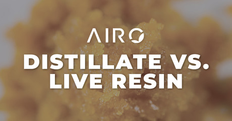 Distillate vs. Live Resin: Understanding cannabis vapes