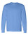 Carolina Blue