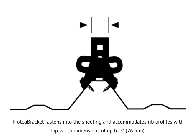 ProteaBracket-AL 2