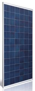Astronergy ASM6612P-315 [Scratched] Silver Poly Solar Panel 1