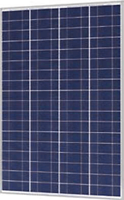 Solarland SLP180-24 Silver Poly Solar Panel 1