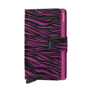 Fuchsia Fuchsia
