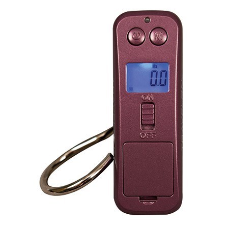 Appliances & Gadgets