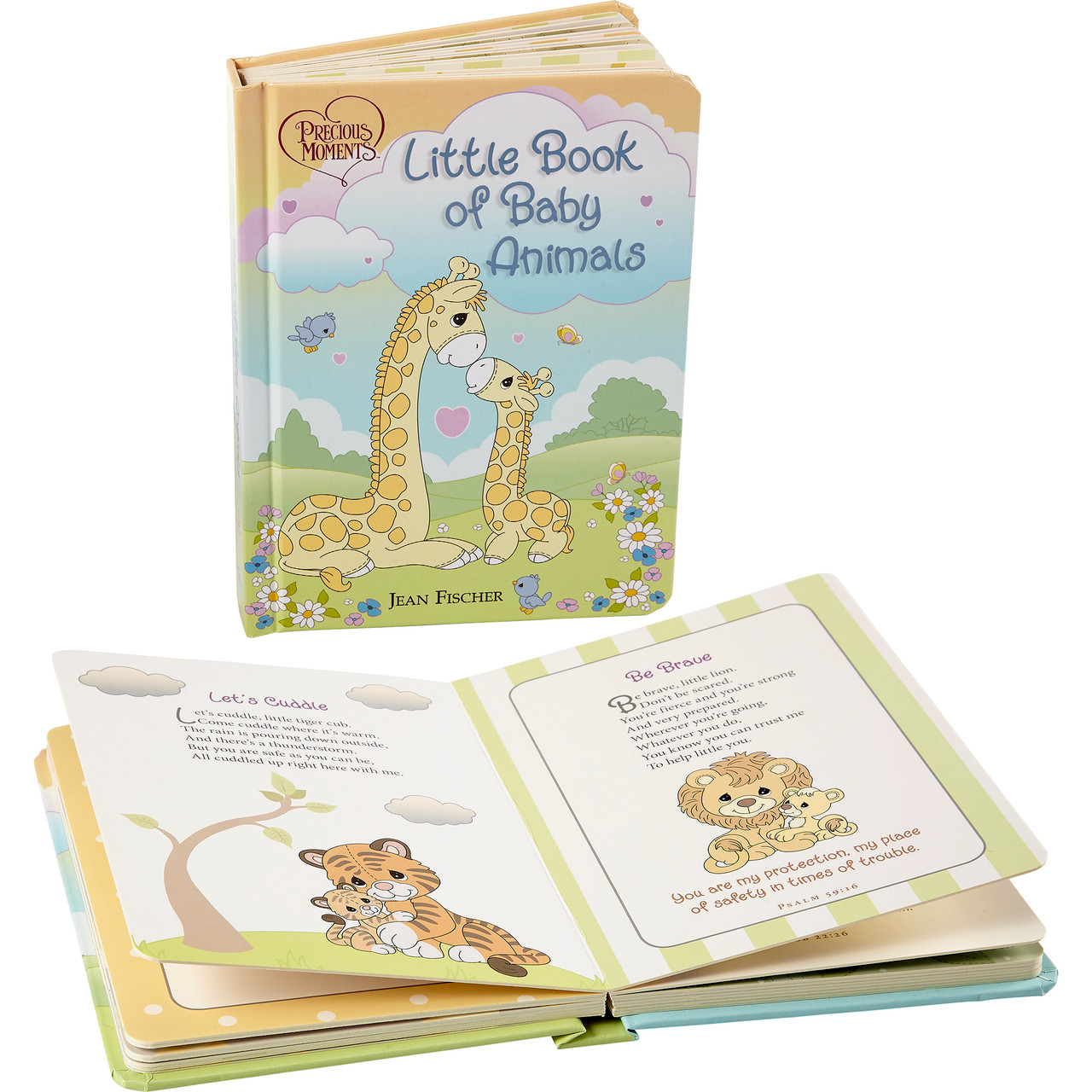 Little Book of Baby Animals Book
