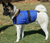 HyperKewl Evaporative Cooling Dog Vest HyperKewl Evaporative Cooling Dog Vest