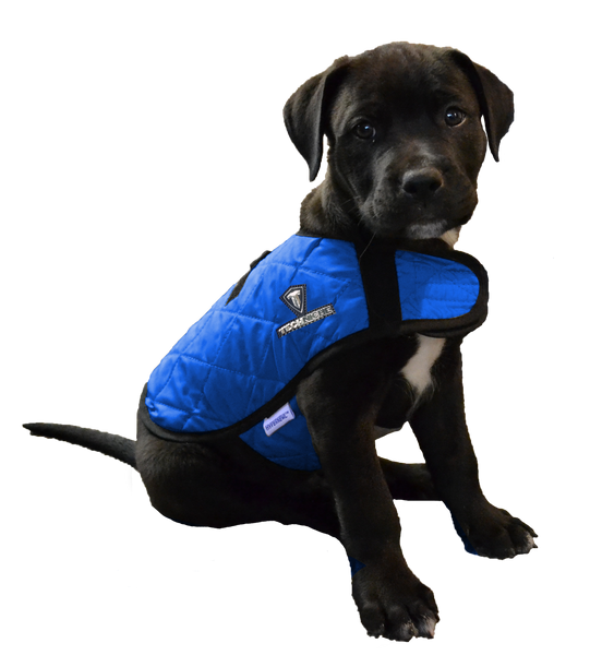 hyperkewl cooling vest for dogs