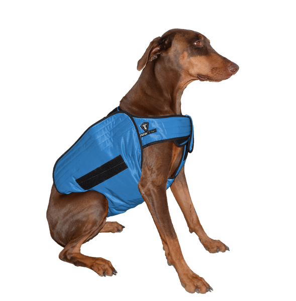 phase changing cooling pads for dogs