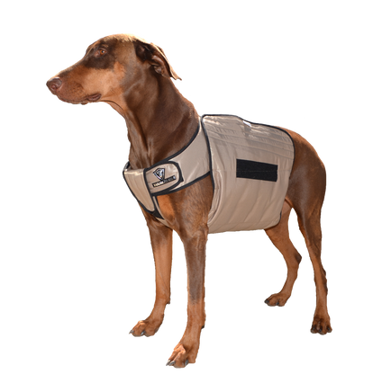 phase changing cooling pads for dogs