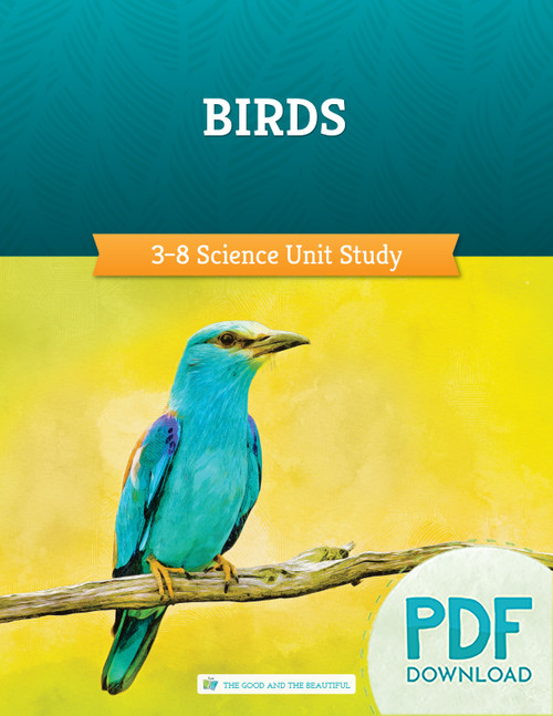 Birds: Course Book (PDF)