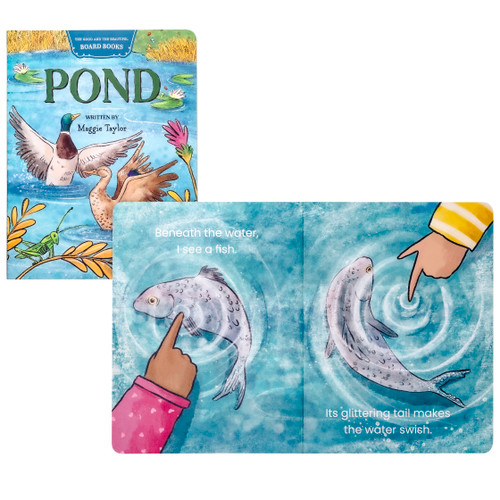 Pond Board Book: by Maggie Taylor