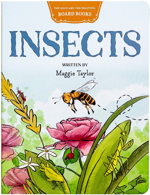 Insects Board Book: by Maggie Taylor