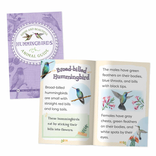 Good and Beautiful Animal Guide: Hummingbirds