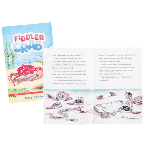 Fiddler Crab: by Mary Adrian