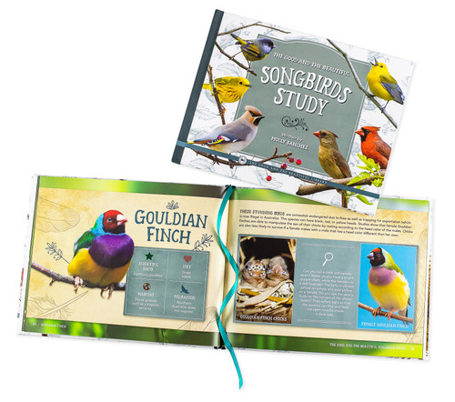 The Good and the Beautiful Songbirds Study Book: by Molly Sanchez