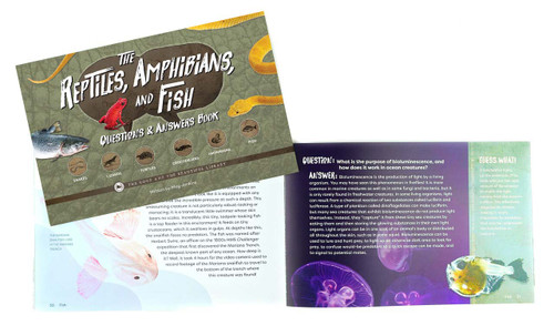 The Reptiles, Amphibians, and Fish Questions & Answers Book: Reptiles, Amphbians, and Fish Grades 7-8 Extension