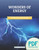 Wonders of Energy: Course Book (PDF)