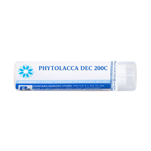 Shop Rxhomeo® homeopathic single remedy pills Phytolacca Decandra for Aching, Soreness, Breast Affections, Glandular Troubles, Rheumatism, Tonsillitis.