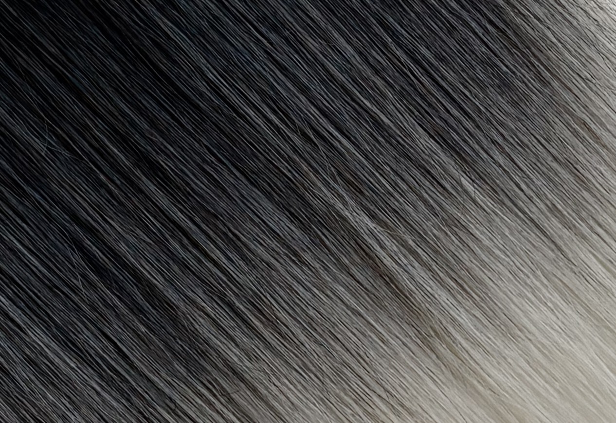 Black Ice Balayage Hair Extension Shade