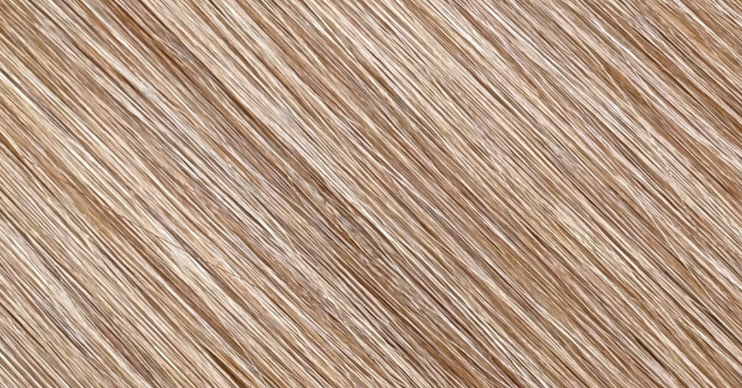 Bronde Hair Extension Shade #60/4