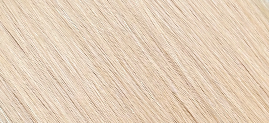 Champagne Blonde Hair Extension Shade #20