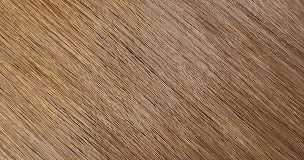 Chestnut Brown hair extension shade