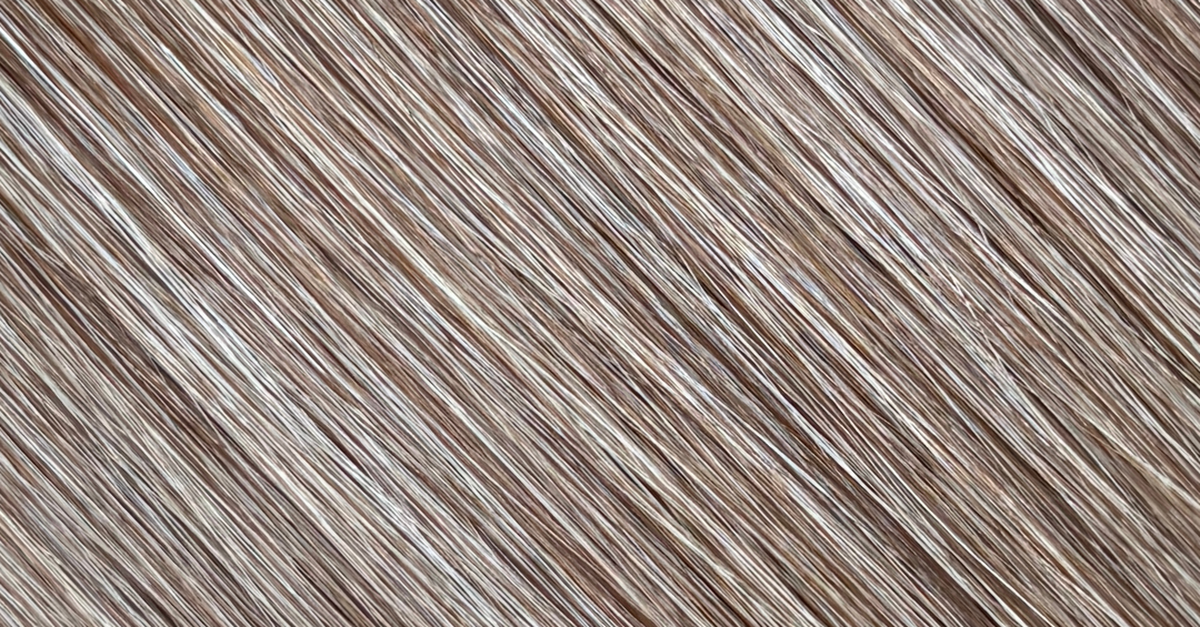 Frosted Bronde Hair Extension Shade #60/4A