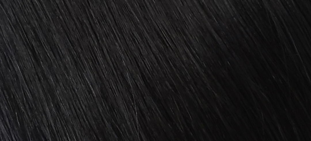 Jet Black Hair Extension Shade #1