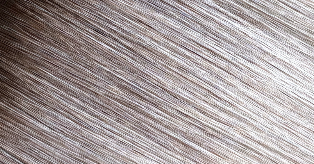 Smokey Blonde Balayage Hair Extension Shade