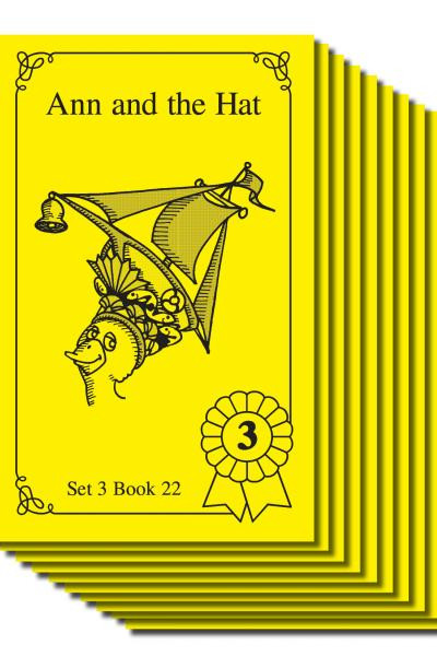 a-kytks様　DME Book 3-6 セット Reading for All Learners - Milestone Books Set 3 - Academic