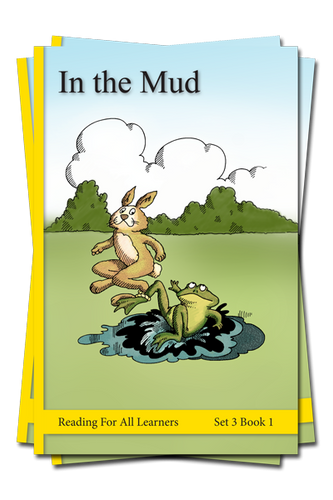 Set 3 Reading For All Learners Color Edition - Academic